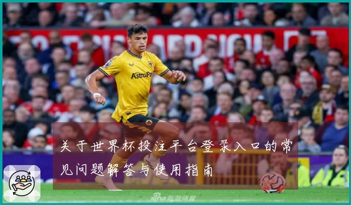 关于世界杯投注平台登录入口的常见问题解答与使用指南