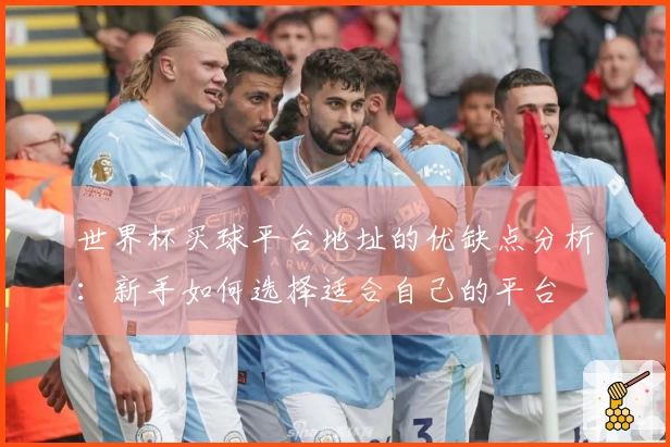 世界杯买球平台地址的优缺点分析：新手如何选择适合自己的平台