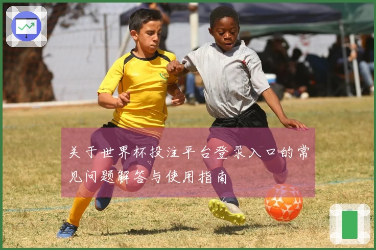 关于世界杯投注平台登录入口的常见问题解答与使用指南