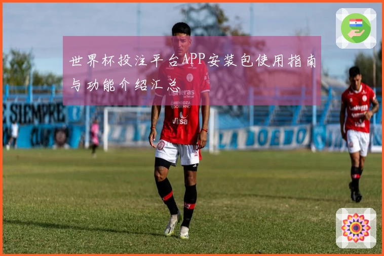世界杯投注平台APP安装包使用指南与功能介绍汇总