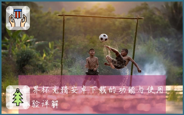 世界杯竞猜安卓下载的功能与使用体验详解